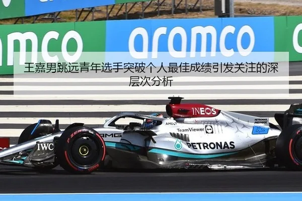 wang-jia-nan-tiao-yuan-qing-nian-xuan-shou-tu-po-ge-ren-zui-jia-cheng-ji-yin-fa-guan-zhu-de-shen-ceng-ci-fen-xi-2-615.jpg